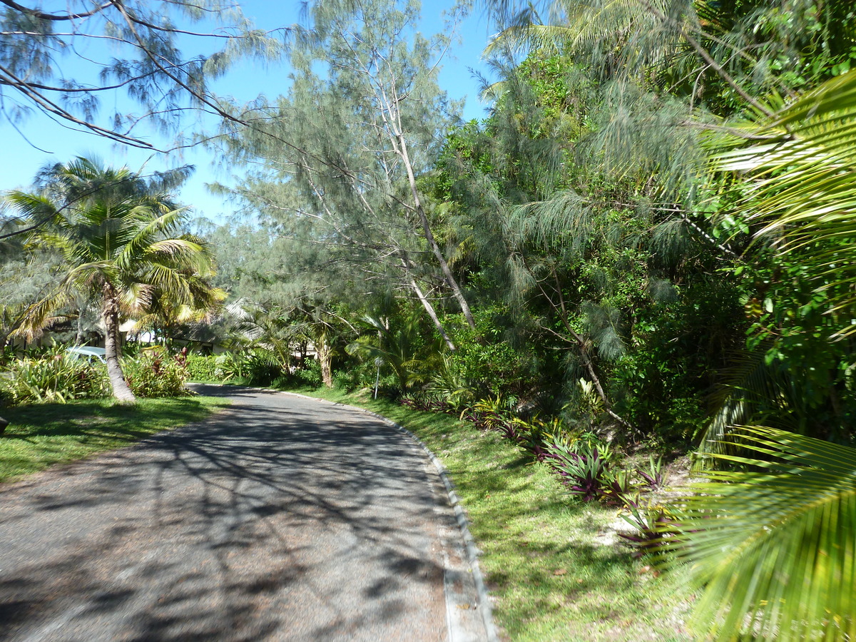 รูปถ่าย นิวแคลิโดเนีย(New Caledonia) เกาะลีฟู(Lifou) โรงแรมเดรฮูวิลเลจ(Drehu Village Hotel) 2010-05 67