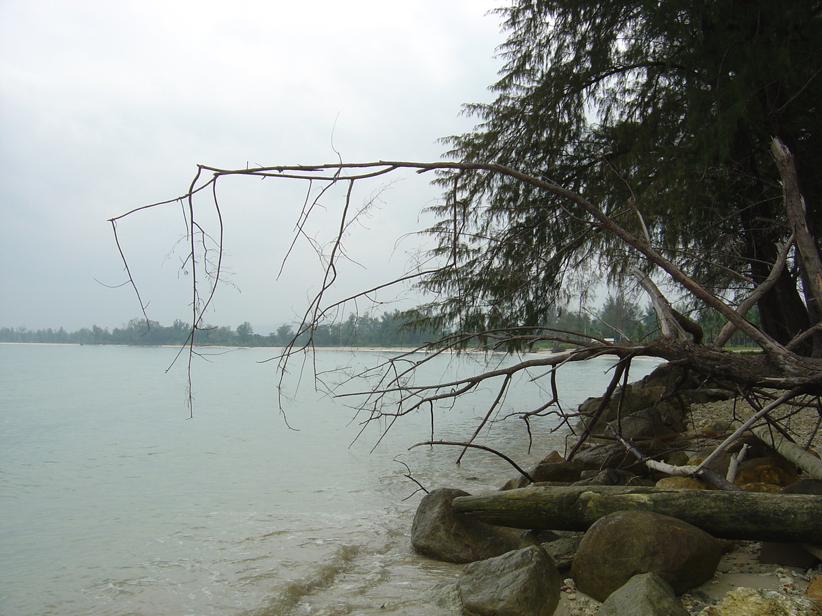 รูปถ่าย ไทย(Thailand) เขาหลัก(Khao Lak) หาดบางสัก(Bang Sak Beach) 2005-12 83