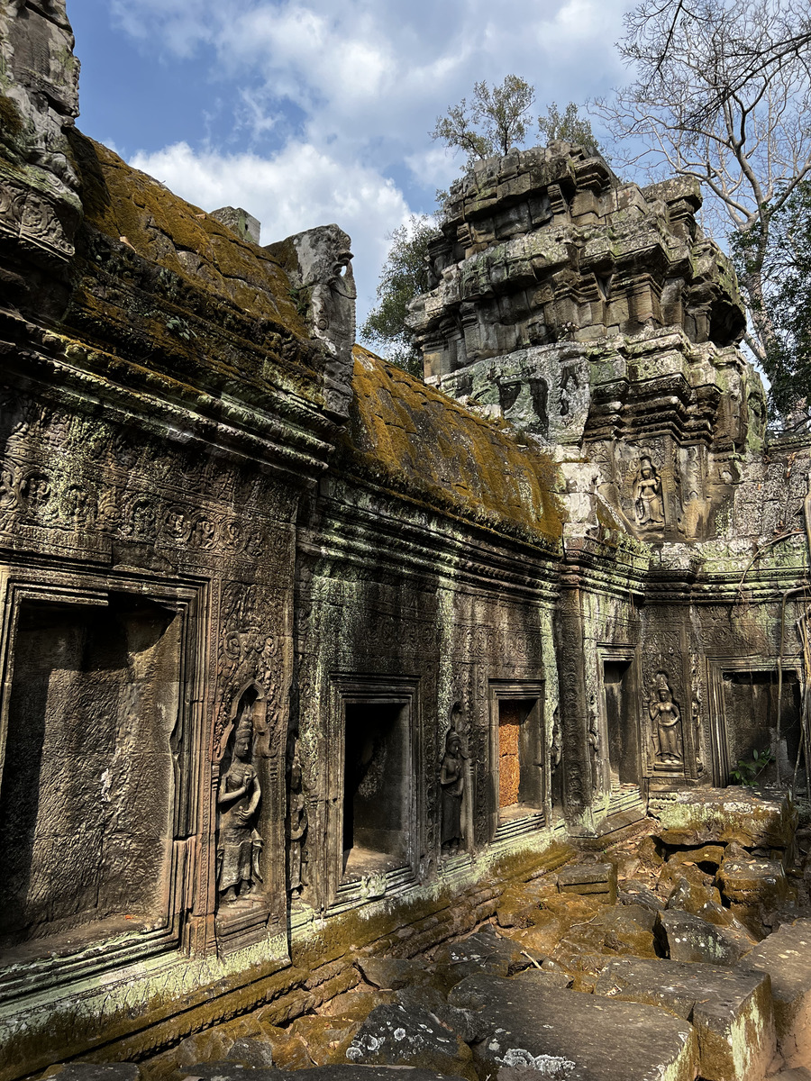 รูปถ่าย กัมพูชา(Cambodia) เสียมราฐ(Siem Reap) ปราสาทตาพรหม(Ta Prohm) 2023-01 118