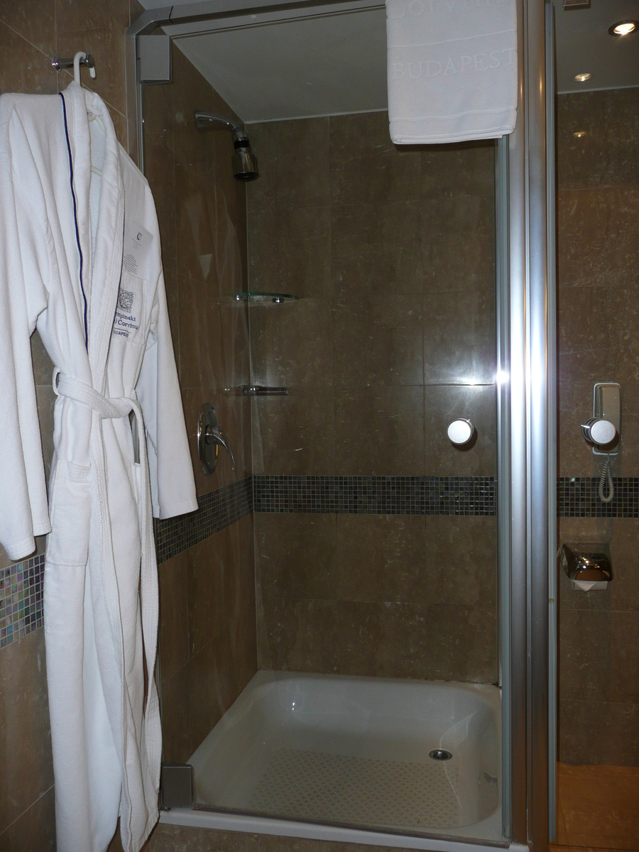 รูปถ่าย ฮังการี(Hungary) บูดาเปสต์(Budapest) โรงแรมเคมพินสกี้ คอร์วินุส(Kempinski Hotel Corvinus) 2007-06 18