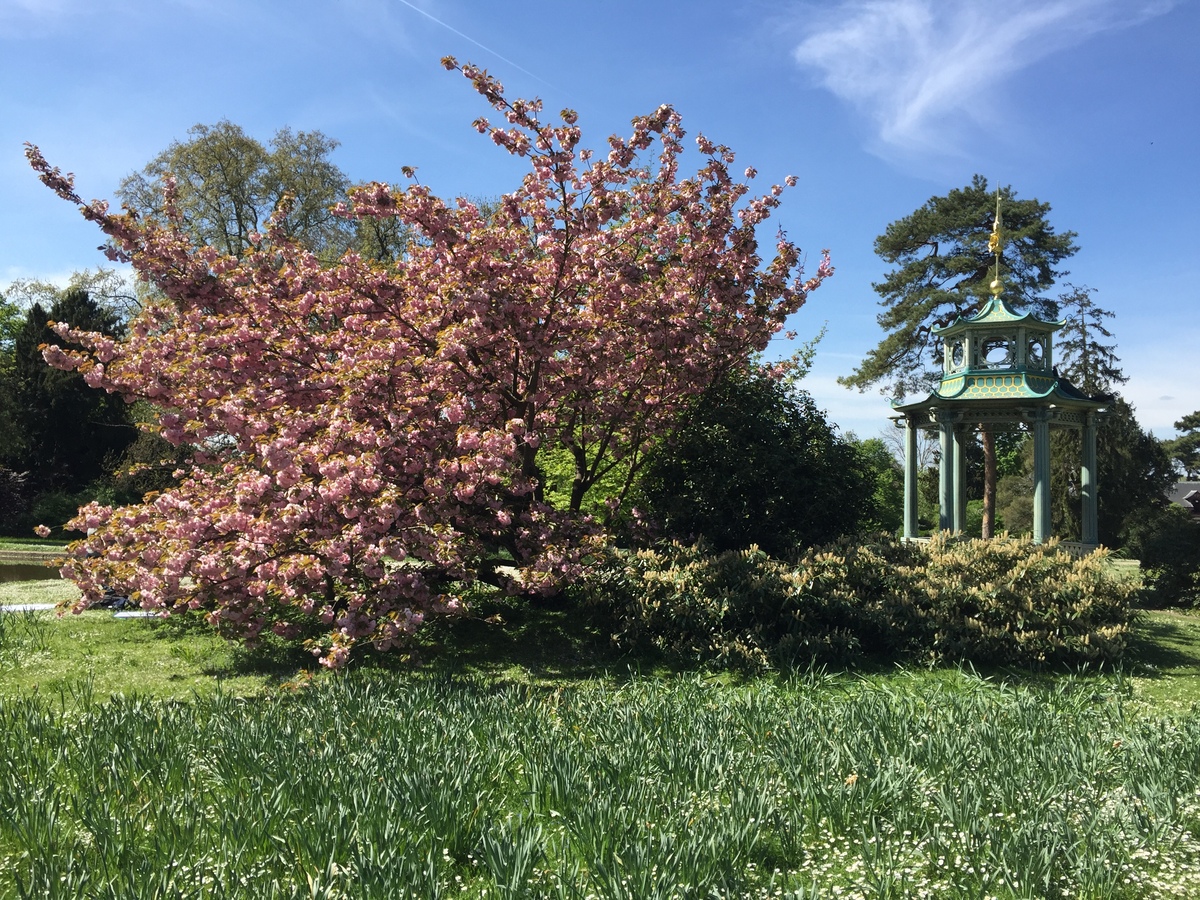 รูปถ่าย ฝรั่งเศส(France) ปารีส(Paris) บากาแตล(Bagatelles) 2017-04 19