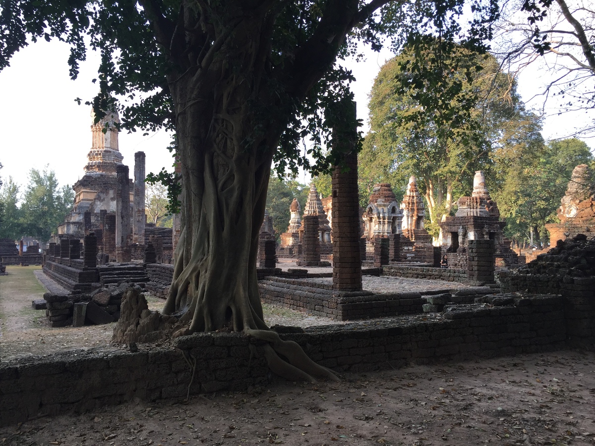 รูปถ่าย ไทย(Thailand) อุทยานประวัติศาสตร์ศรีสัชนาลัย(Si satchanalai historical park) 2014-12 138