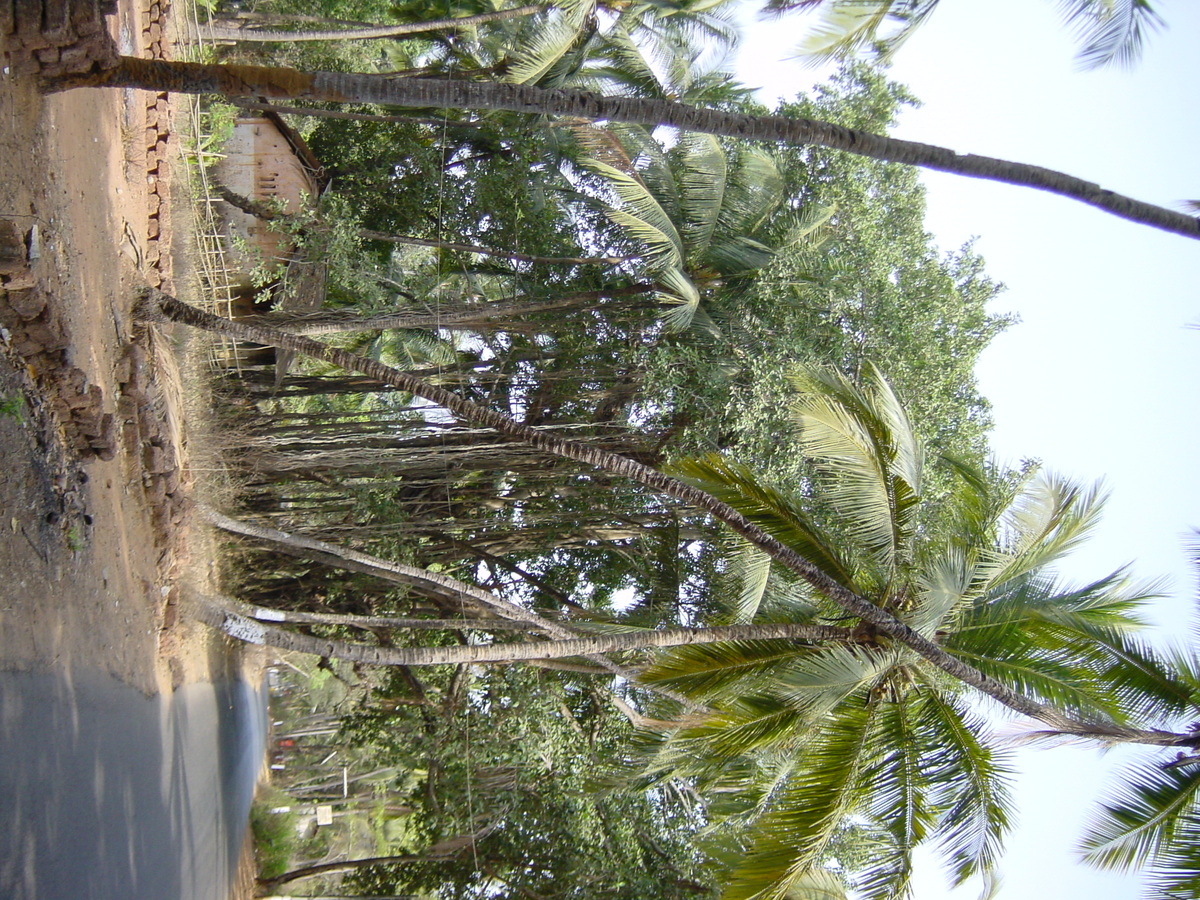 รูปถ่าย อินเดีย(India) กัว(Goa) 2003-05 51