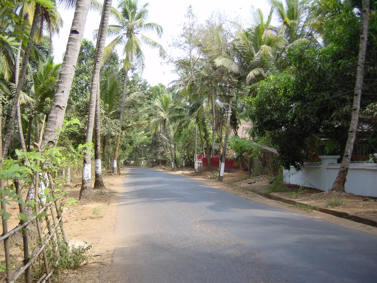 รูปถ่าย อินเดีย(India) กัว(Goa) 2003-05 14