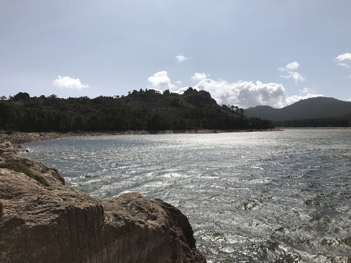 รูปถ่าย ฝรั่งเศส(France) คอร์สิคา(Corsica) ป่าลอสเปดาเล(L'ospedale Forest) 2017-09 11