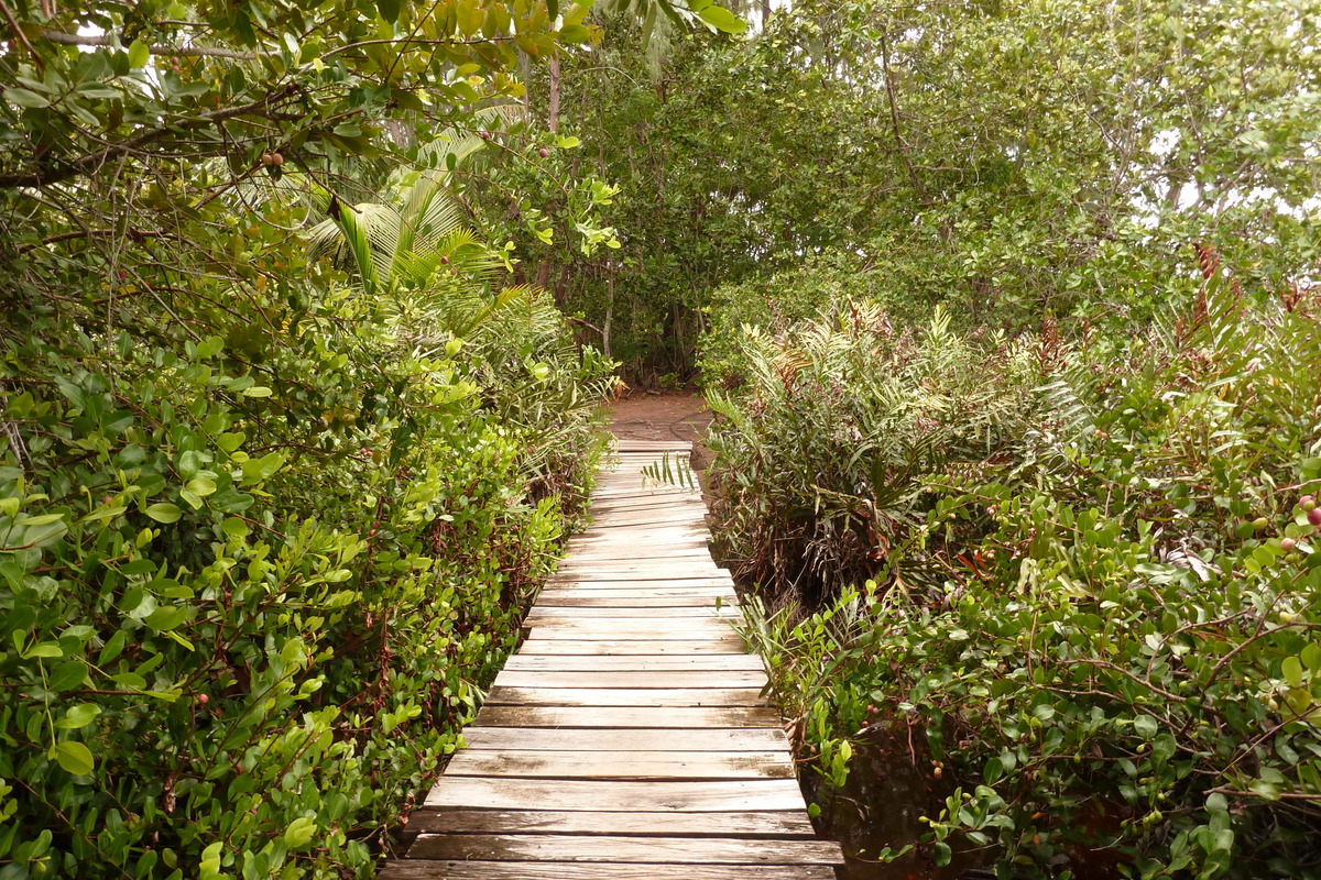 รูปถ่าย เซเชลส์(Seychelles) เกาะกูรีเยิซ(Curieuse) 2011-10 53
