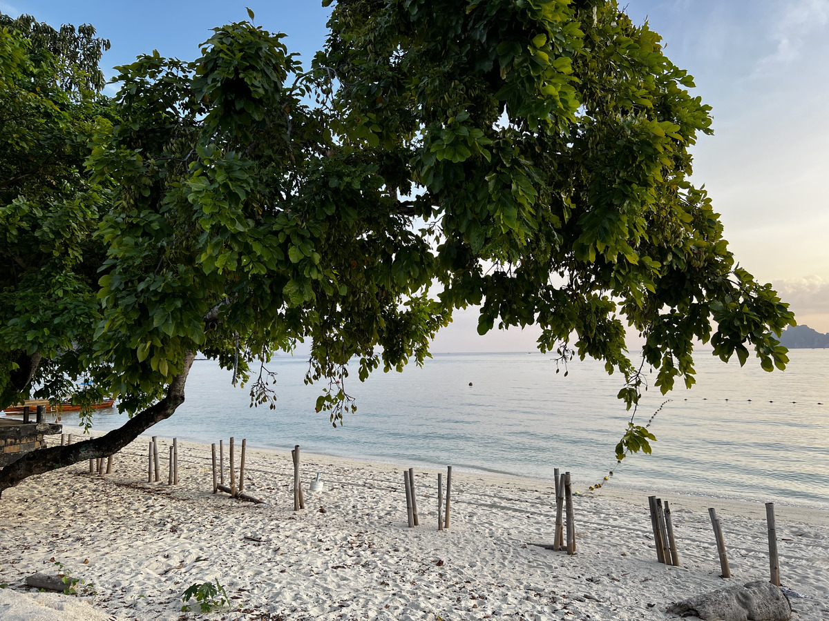 รูปถ่าย ไทย(Thailand) เกาะพีพีดอน(Ko Phi Phi Don) 2021-12 165