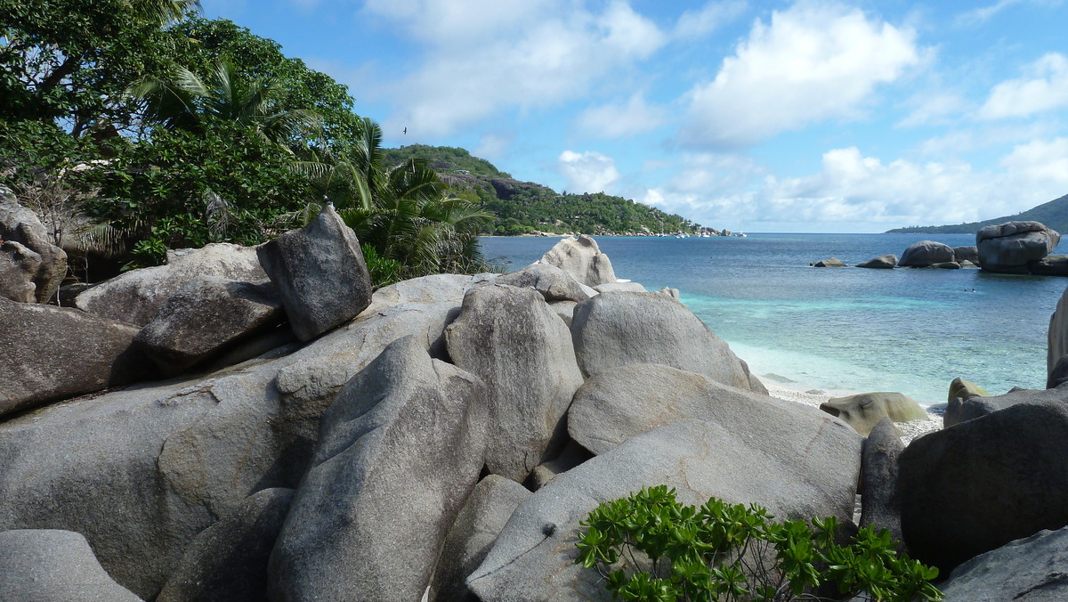 รูปถ่าย เซเชลส์(Seychelles) เกาะโกโก้(Coco Island) 2011-10 9