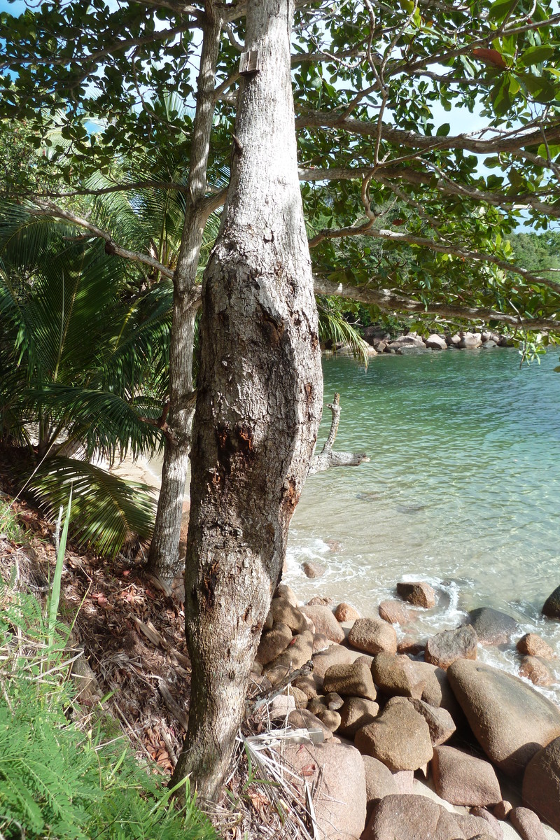 รูปถ่าย เซเชลส์(Seychelles) 2011-10 15