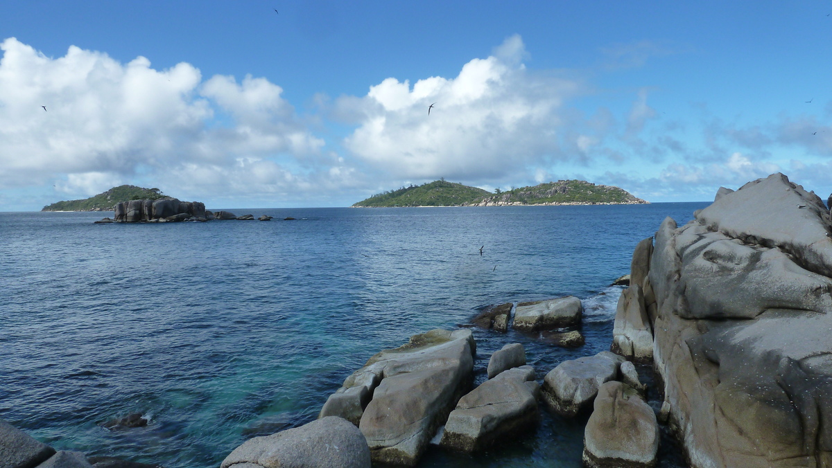 รูปถ่าย เซเชลส์(Seychelles) เกาะโกโก้(Coco Island) 2011-10 3