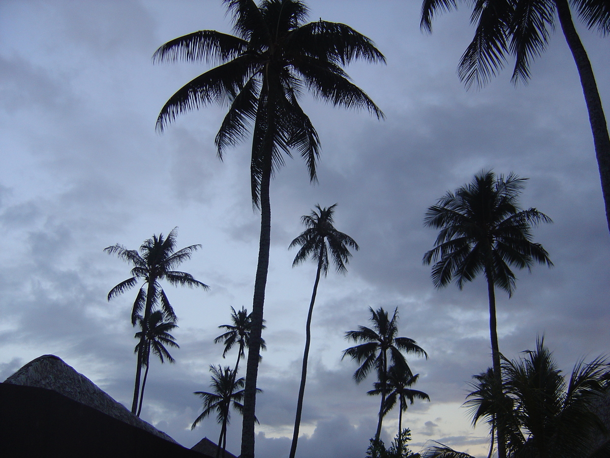รูปถ่าย เฟรนช์โพลี่นีเซีย(Polynesia) มูเรีย(Moorea) โรงแรมเพิร์ลรีสอร์ต(Pearl Resort Hotel) 2006-04 0