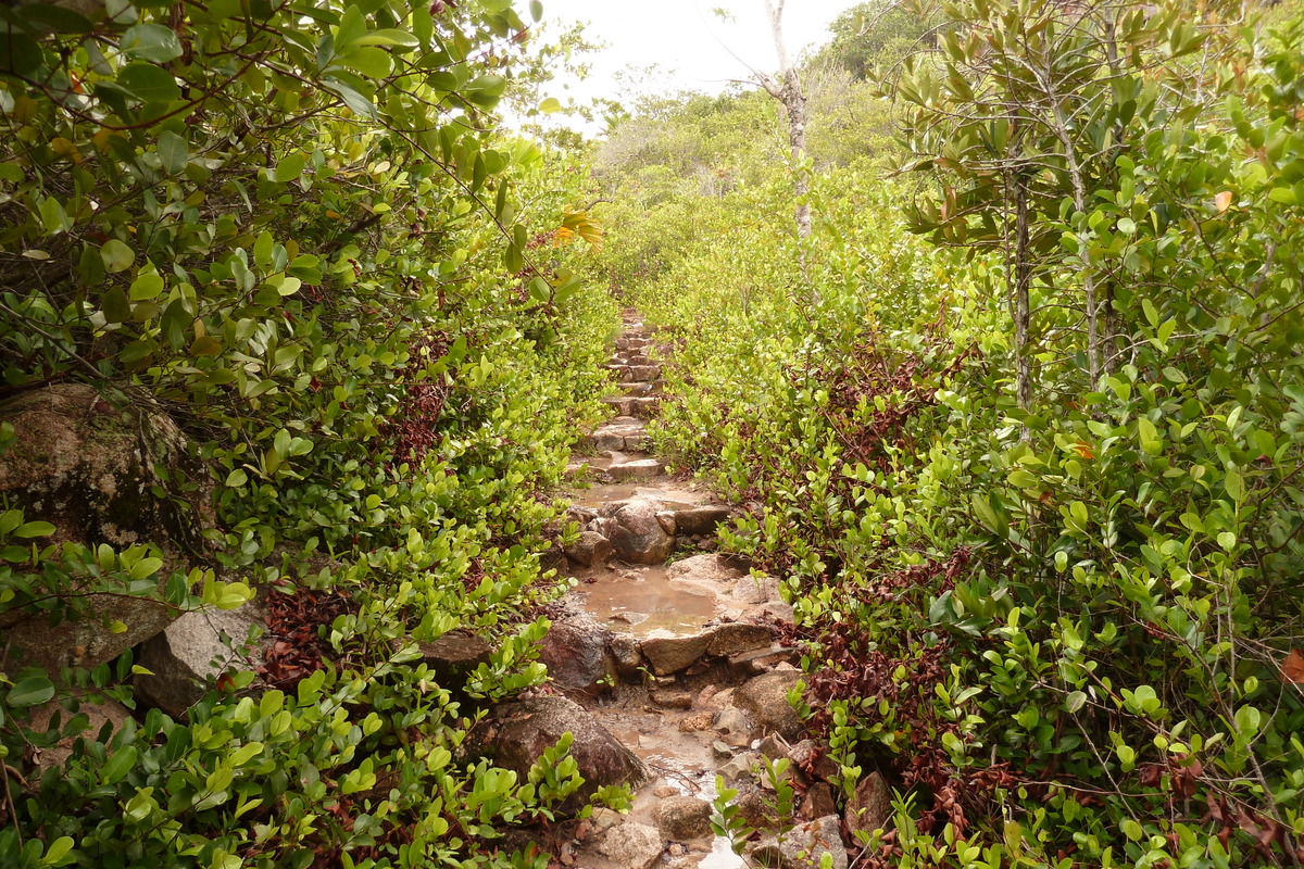 รูปถ่าย เซเชลส์(Seychelles) เกาะกูรีเยิซ(Curieuse) 2011-10 8