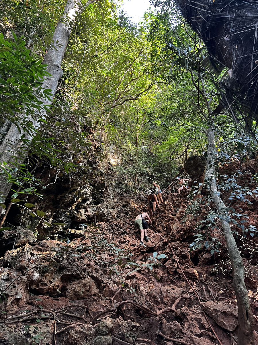 รูปถ่าย ไทย(Thailand) กระบี่(Krabi) 2023-01 368