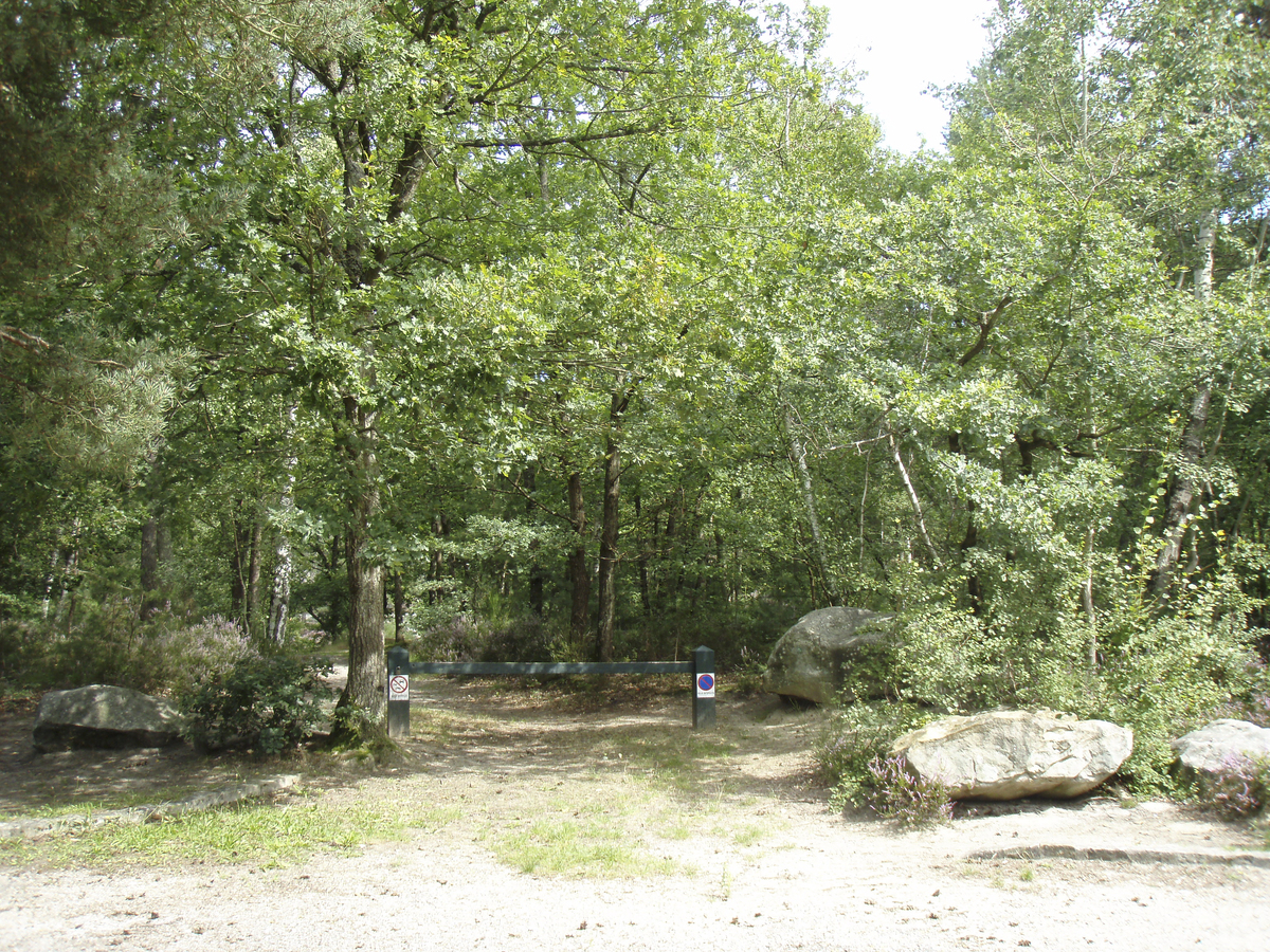 รูปถ่าย ฝรั่งเศส(France) ฟงเทนโบล(Fontainebleau) ทัวร์ป่า(Circuit des 25 bosses) 2007-08 183