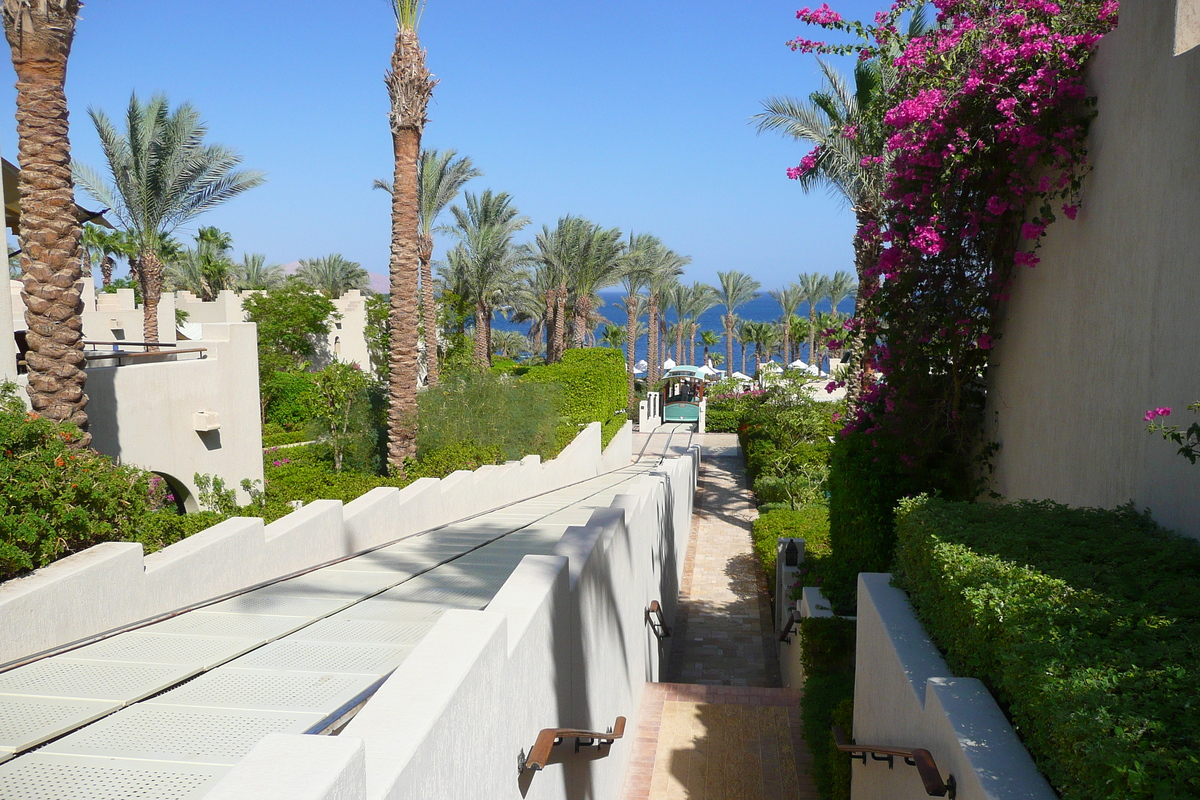 รูปถ่าย อียิปต์(Egypt) ชาร์มเอลชีค(Sharm el Sheikh) โรงแรมโฟร์ซีซันส์(Four Seasons Hotel) 2008-06 83
