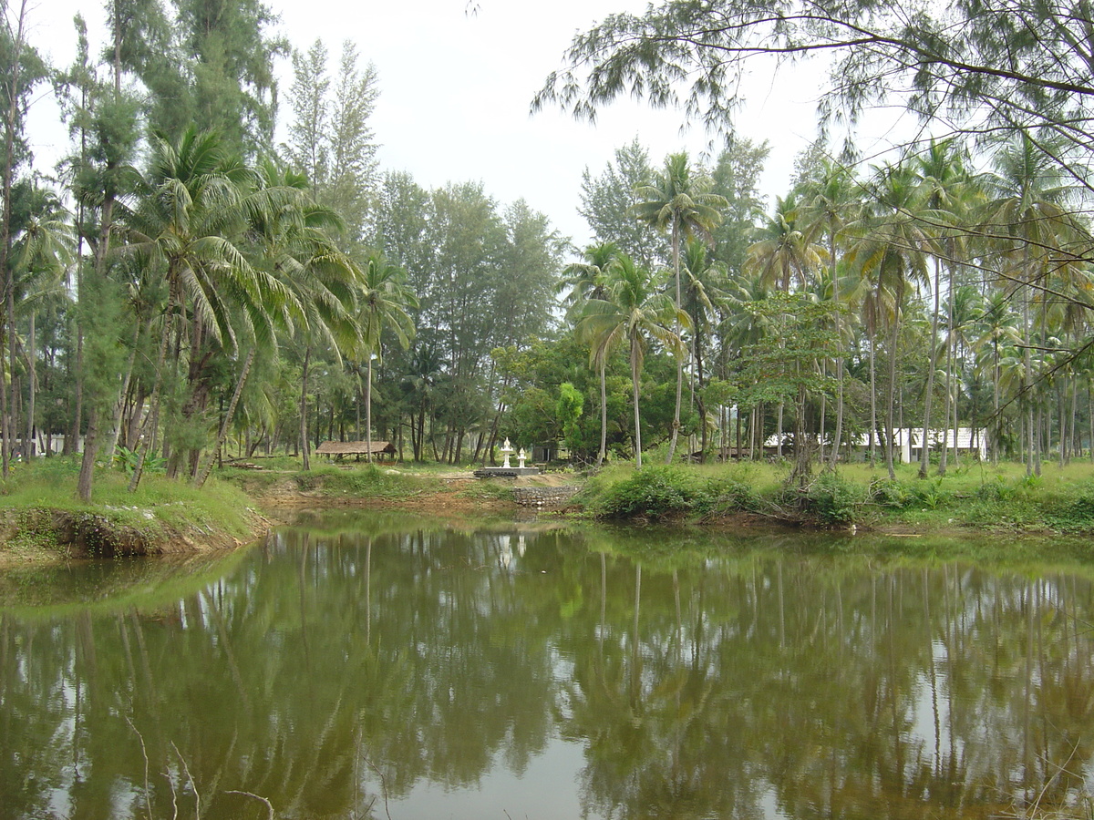 รูปถ่าย ไทย(Thailand) เขาหลัก(Khao Lak) หาดบางสัก(Bang Sak Beach) 2005-12 5