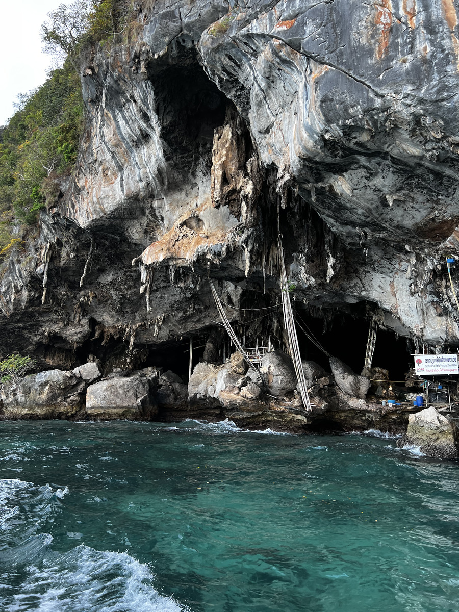 รูปถ่าย ไทย(Thailand) เกาะพีพีเล(Ko Phi Phi Ley) 2021-12 29