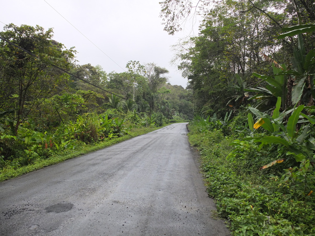 รูปถ่าย คอสตาริกา(Costa Rica) ปวยร์โตเบียโฆเดตาลามังกา(Puerto Viejo de Talamanca) 2015-03 5