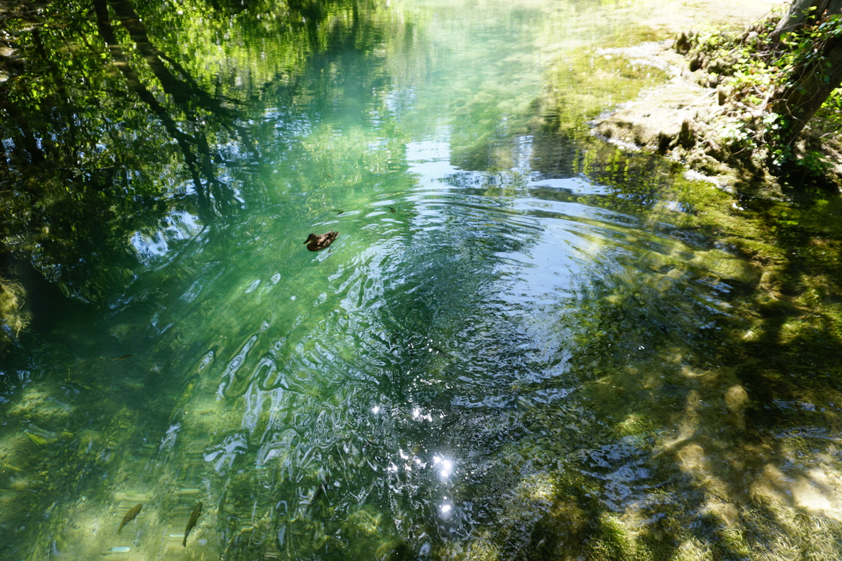 รูปถ่าย โครเอเชีย(Croatia) อุทยานแห่งชาติเคอร์คา(Krka National Park) 2016-04 87
