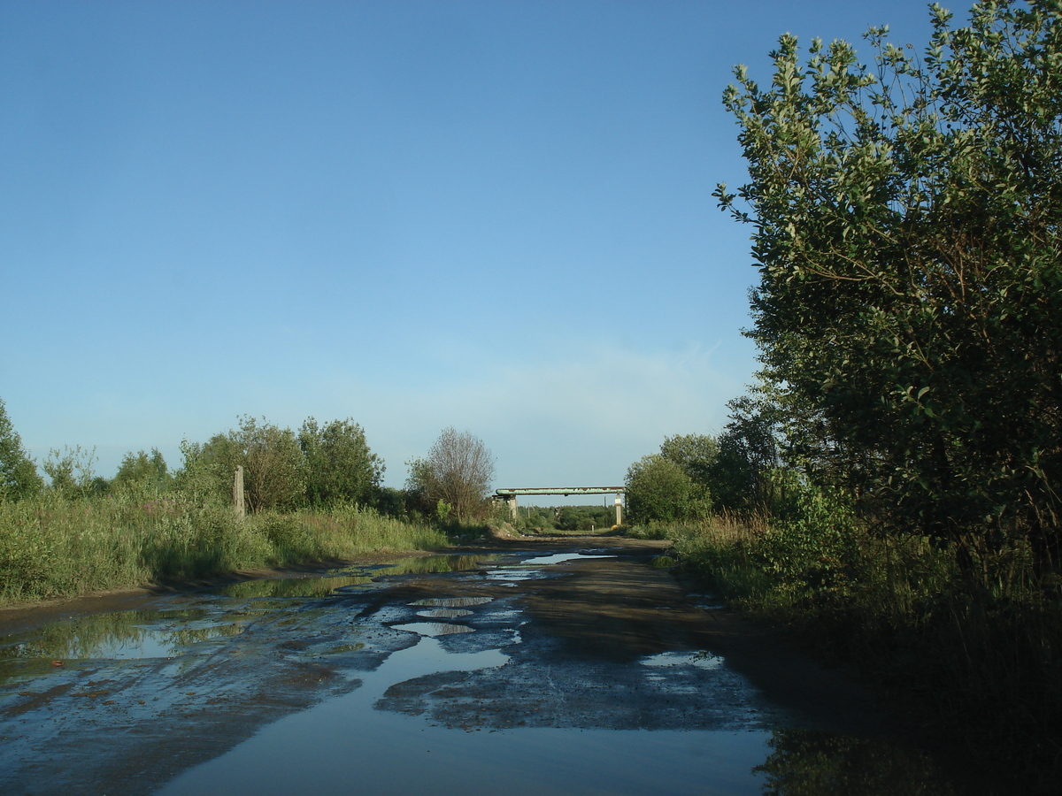 รูปถ่าย รัสเซีย(Russia) จากซูซดัลไปยาโรสลาฟล์(From Suzdal to Yaroslavl) 2006-07 17
