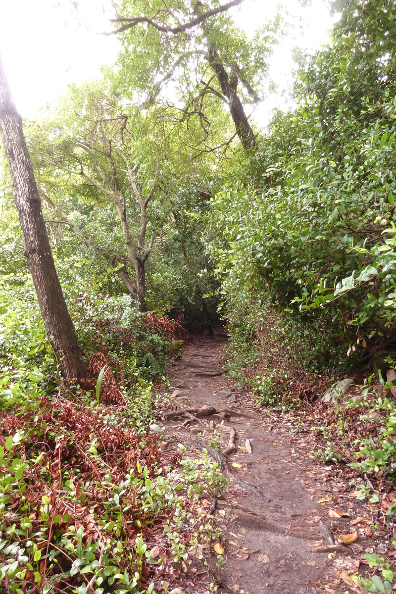 รูปถ่าย เซเชลส์(Seychelles) เกาะกูรีเยิซ(Curieuse) 2011-10 2