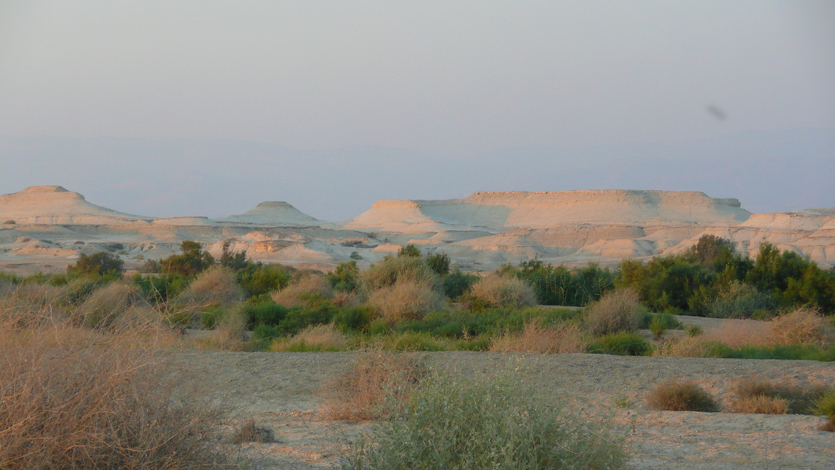 รูปถ่าย อิสราเอล(Israel) ทะเลดำ(Dead Sea) 2007-06 130