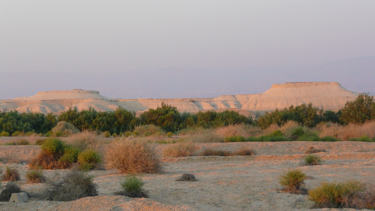 รูปถ่าย อิสราเอล(Israel) ทะเลดำ(Dead Sea) 2007-06 129