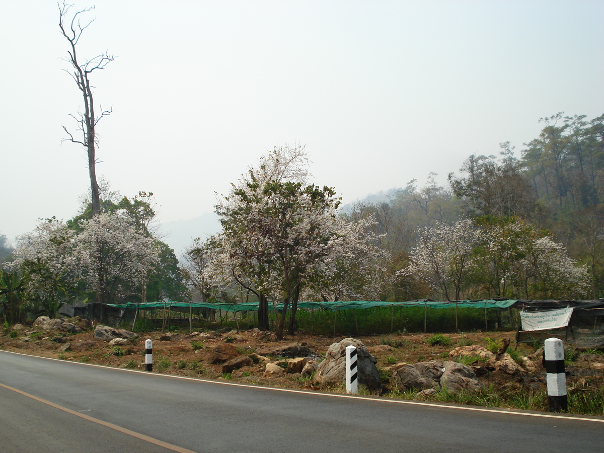 รูปถ่าย ไทย(Thailand) ถนนจากปางมะผ้าไปปาย(Pang Mapha to Pai road) 2007-02 27