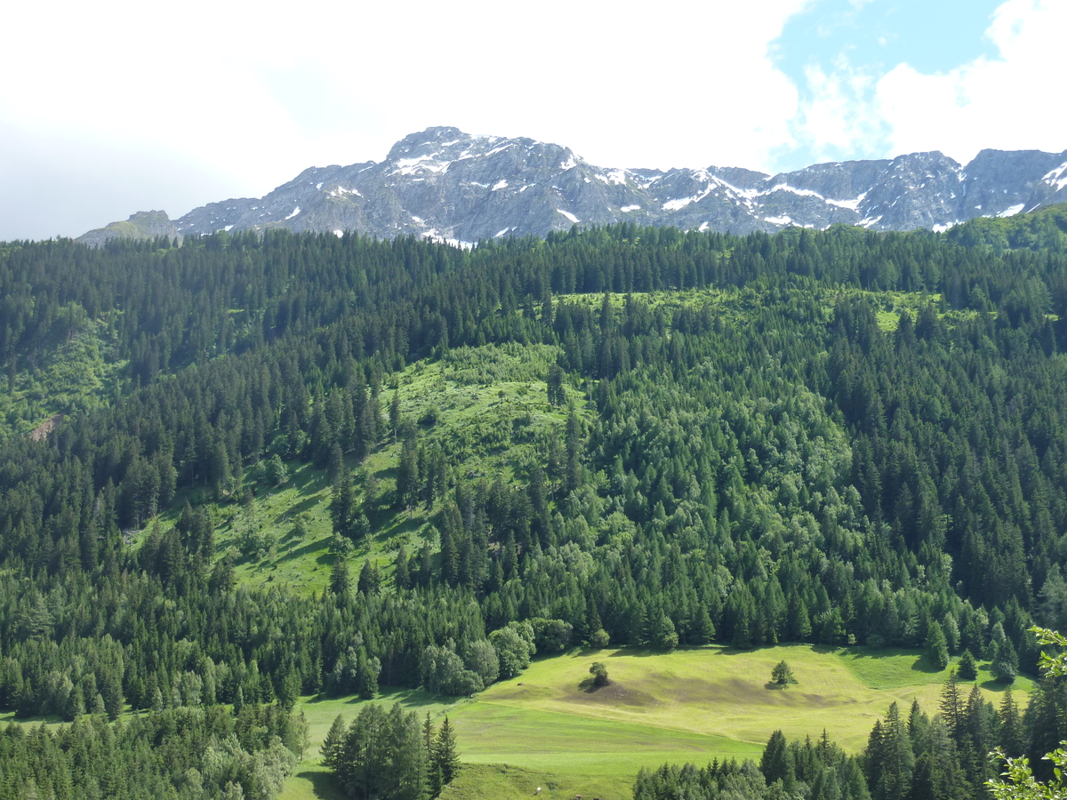 รูปถ่าย สวิสเซอร์แลนด์(Switzerland) ช่องเขากอตธาร์ด(Gotthard Pass) 2009-06 86