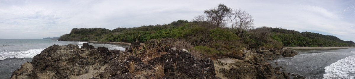 รูปถ่าย คอสตาริกา(Costa Rica) มอนเตซูมา(Montezuma) 2015-03 441