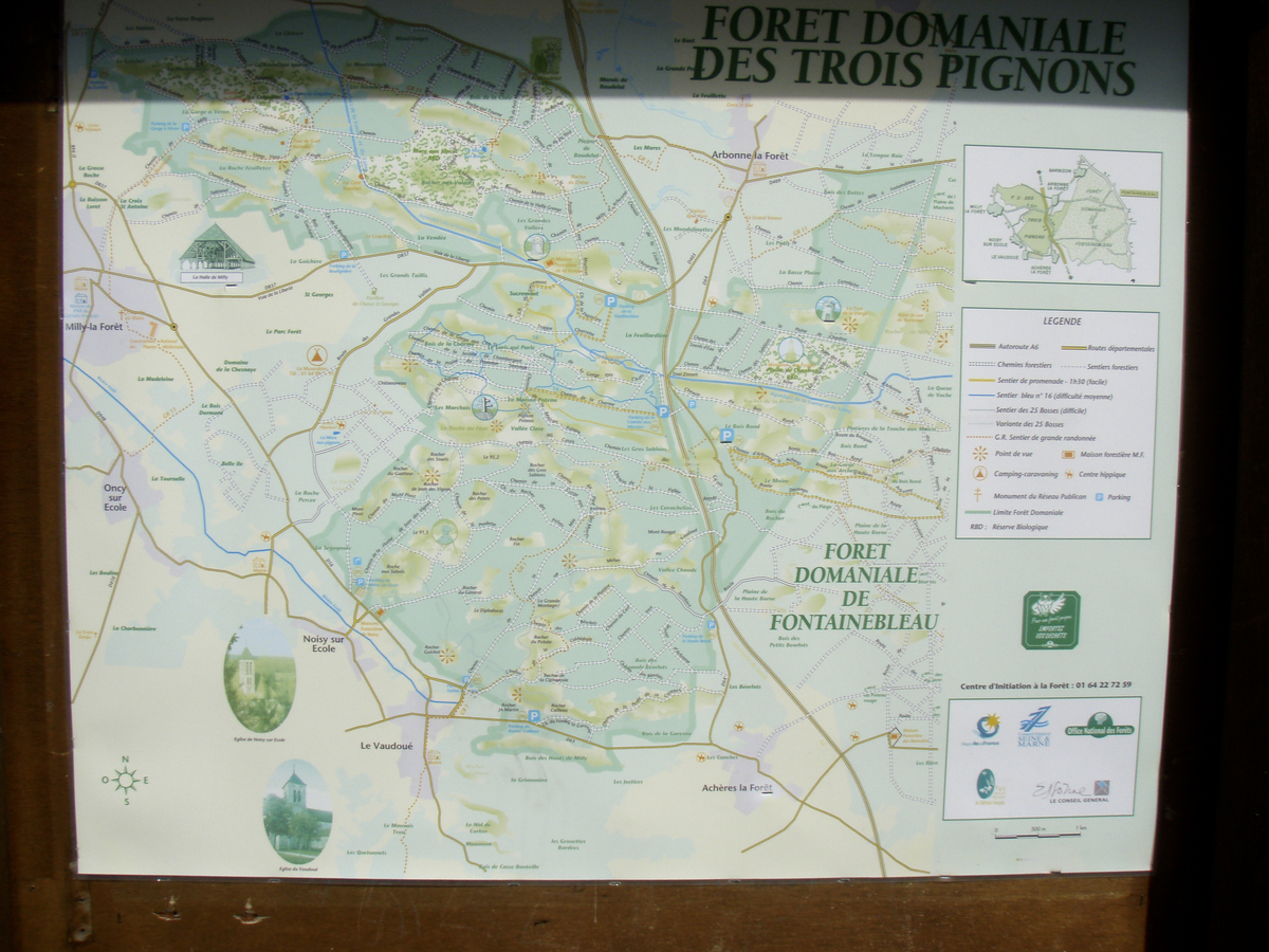 รูปถ่าย ฝรั่งเศส(France) ฟงเทนโบล(Fontainebleau) ทัวร์ป่า(Circuit des 25 bosses) 2007-08 152