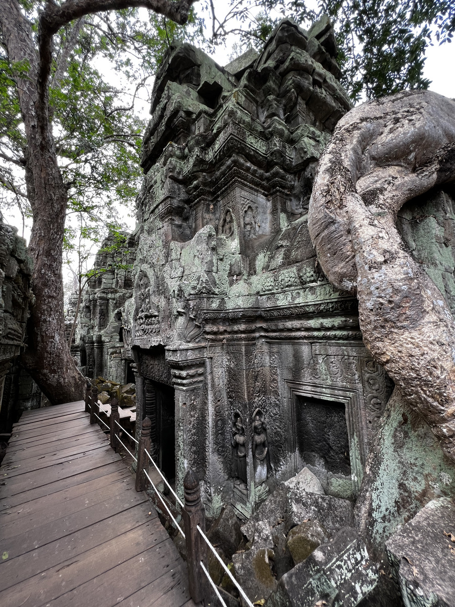 รูปถ่าย กัมพูชา(Cambodia) เสียมราฐ(Siem Reap) ปราสาทตาพรหม(Ta Prohm) 2023-01 86