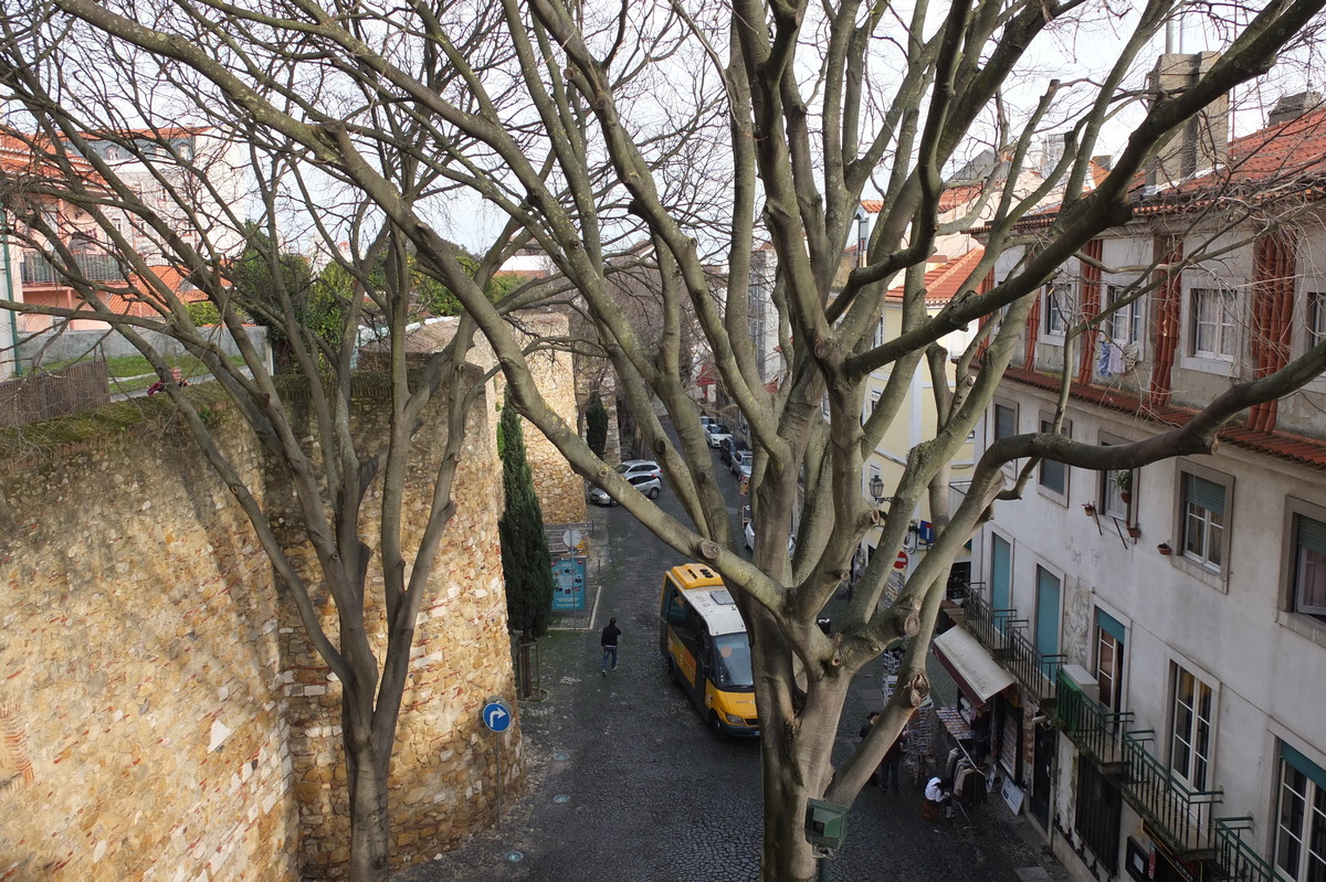 รูปถ่าย โปรตุเกส(Portugal) ลิสบอน(Lisbon) 2013-01 355