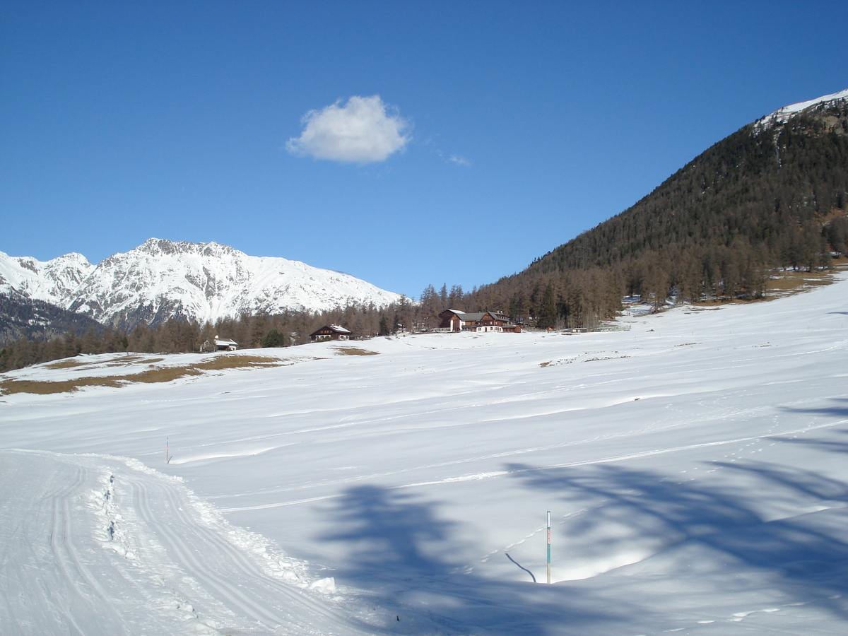 รูปถ่าย สวิสเซอร์แลนด์(Switzerland) ปองเทรซีน่า(Pontresina) 2007-01 124