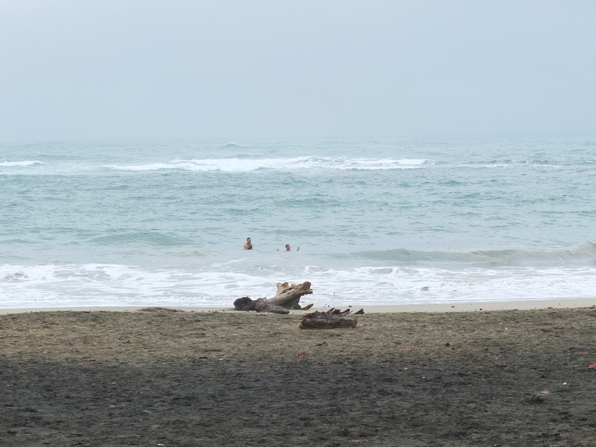 รูปถ่าย คอสตาริกา(Costa Rica) ปวยร์โตเบียโฆเดตาลามังกา(Puerto Viejo de Talamanca) 2015-03 0