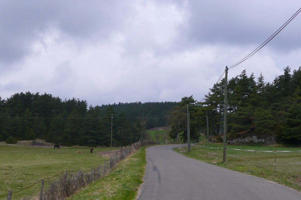 รูปถ่าย ฝรั่งเศส(France) โอบรัก(L'Aubrac) 2008-04 123