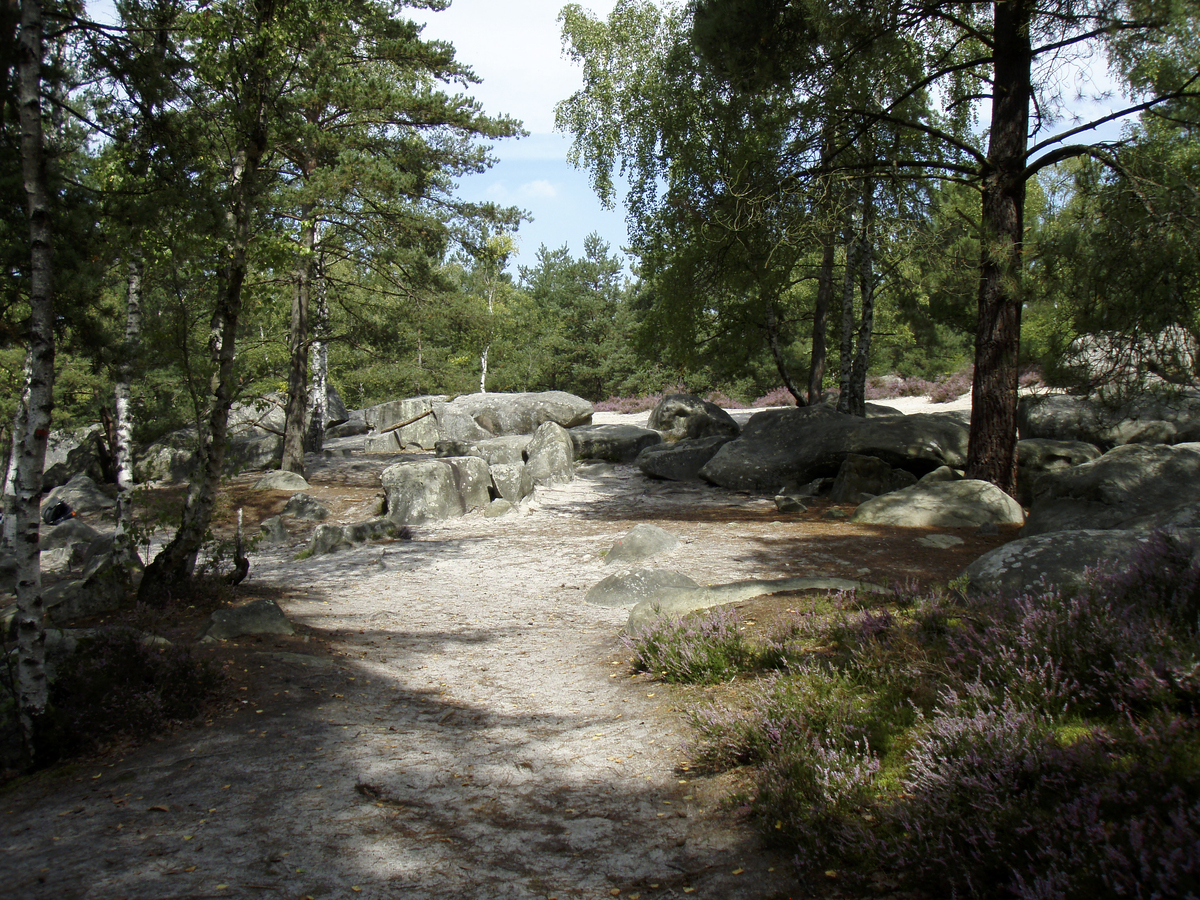 รูปถ่าย ฝรั่งเศส(France) ฟงเทนโบล(Fontainebleau) ทัวร์ป่า(Circuit des 25 bosses) 2007-08 134