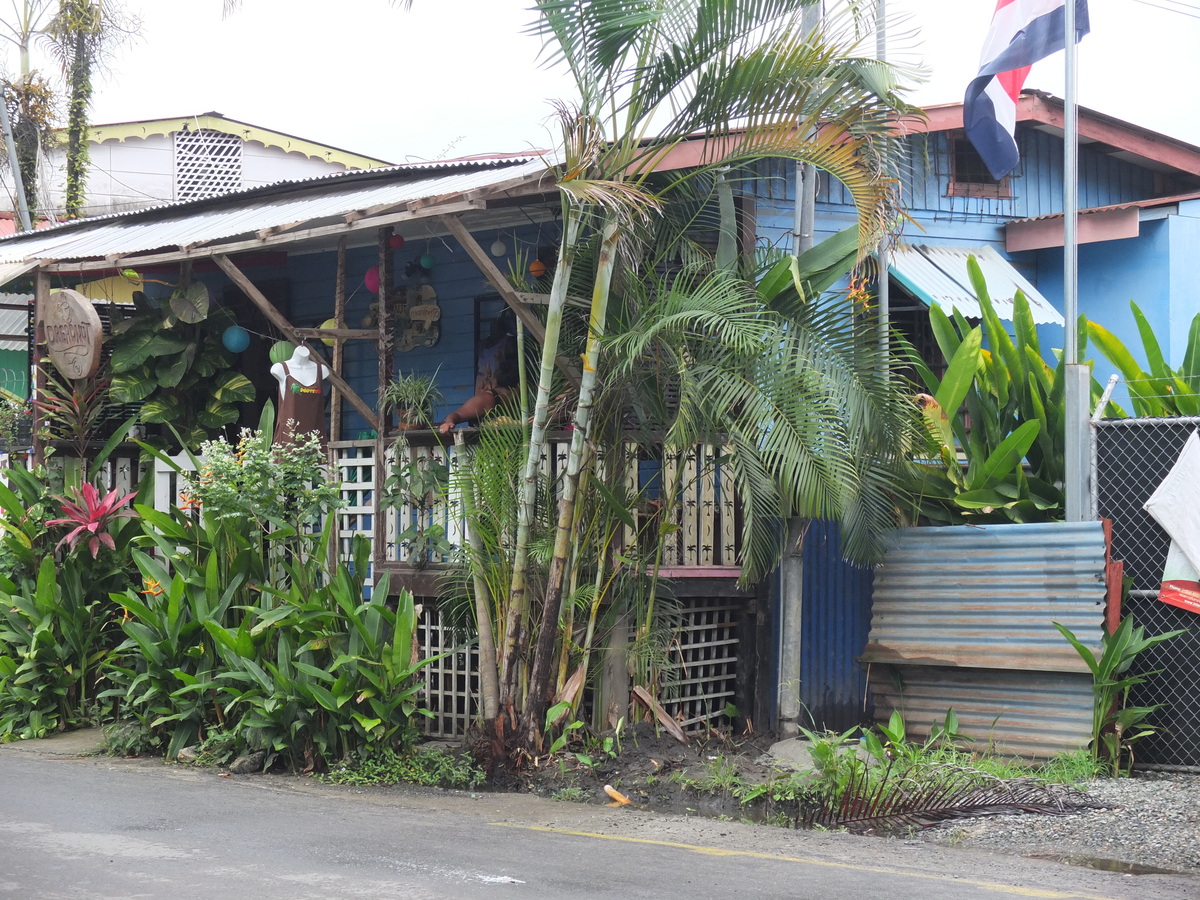 รูปถ่าย คอสตาริกา(Costa Rica) ปวยร์โตเบียโฆเดตาลามังกา(Puerto Viejo de Talamanca) 2015-03 148