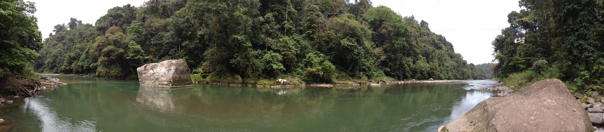 รูปถ่าย คอสตาริกา(Costa Rica) แม่น้ำปากัวเร(Pacuare River) 2015-03 229