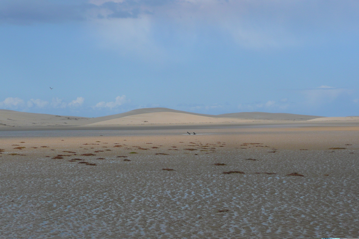 รูปถ่าย แอฟริกาใต้(South Africa) แม่น้ำซันเดส์(Sundays River) 2008-09 93