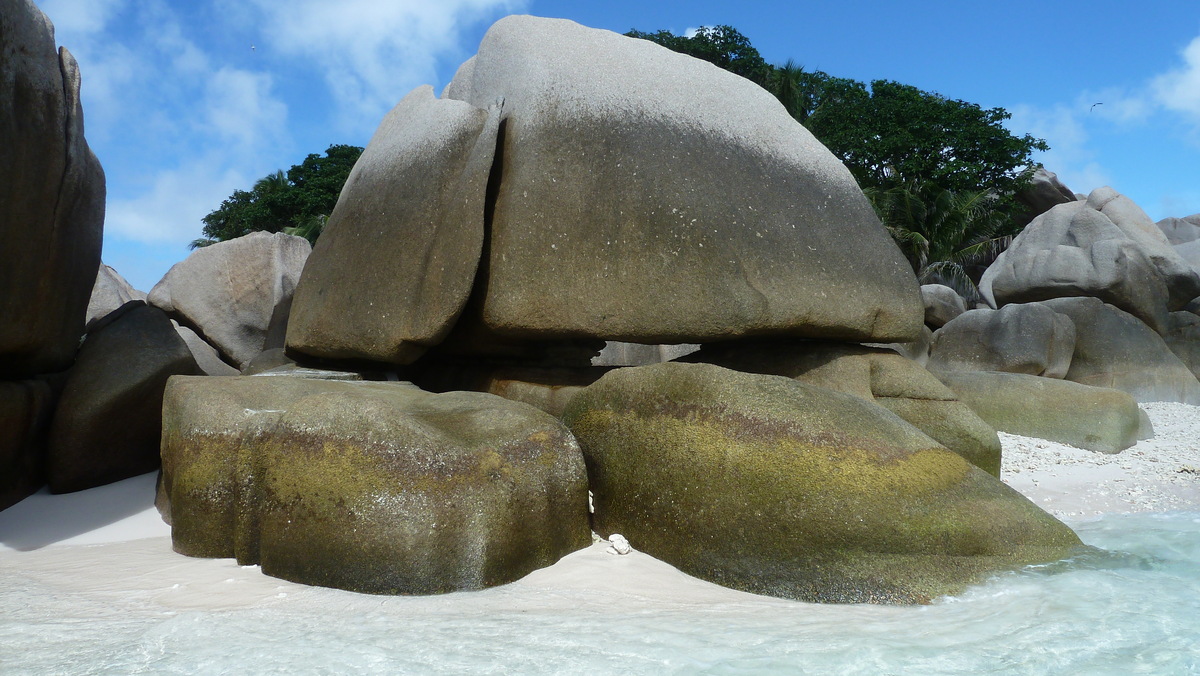 รูปถ่าย เซเชลส์(Seychelles) เกาะโกโก้(Coco Island) 2011-10 62