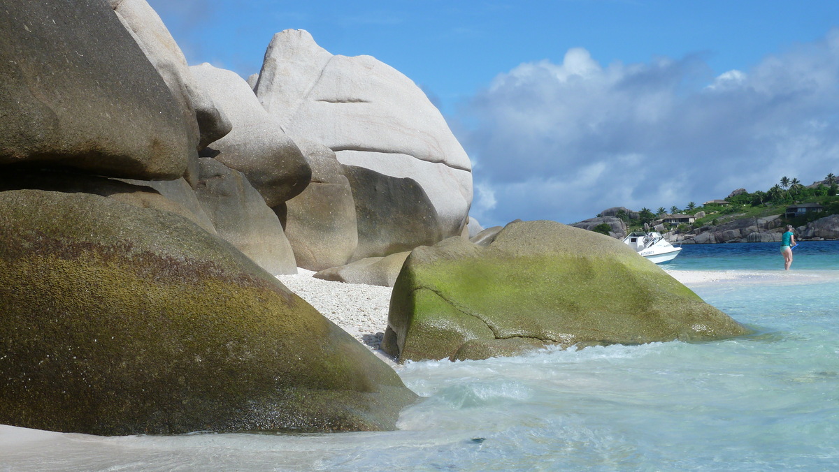 รูปถ่าย เซเชลส์(Seychelles) เกาะโกโก้(Coco Island) 2011-10 74