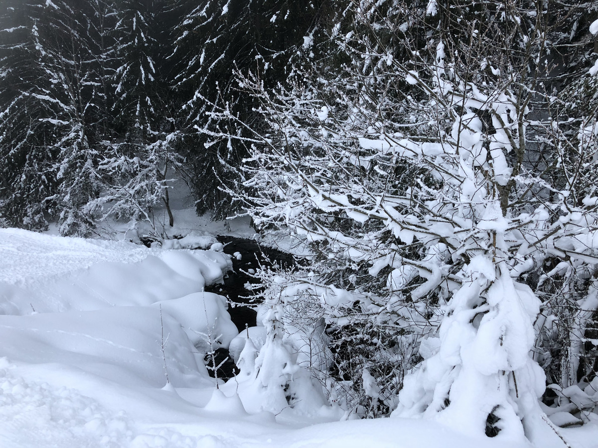 รูปถ่าย ฝรั่งเศส(France) ลากลูซา(La Clusaz) 2017-12 26