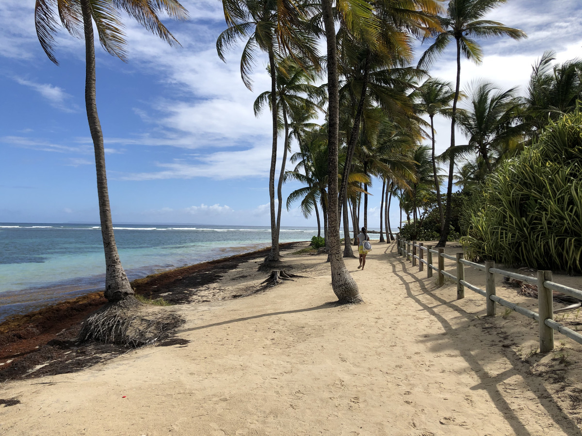 รูปถ่าย กวาเดอลูป(Guadeloupe) หาดลาการาแวล(La Caravelle Beach) 2021-02 6