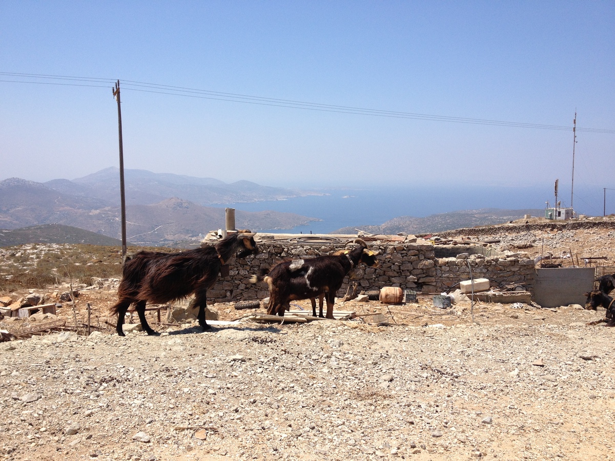 รูปถ่าย กรีก(Greece) เกาะอามอร์กอส(Amorgos) 2014-07 309