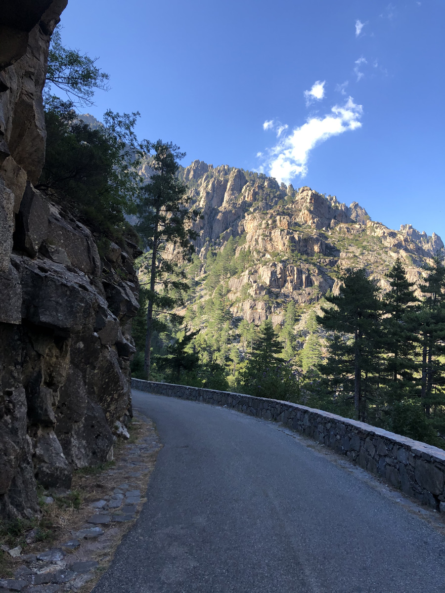 รูปถ่าย ฝรั่งเศส(France) คอร์สิคา(Corsica) หุบเขาลาเรสโตนีกา(La Restonica) 2020-07 73