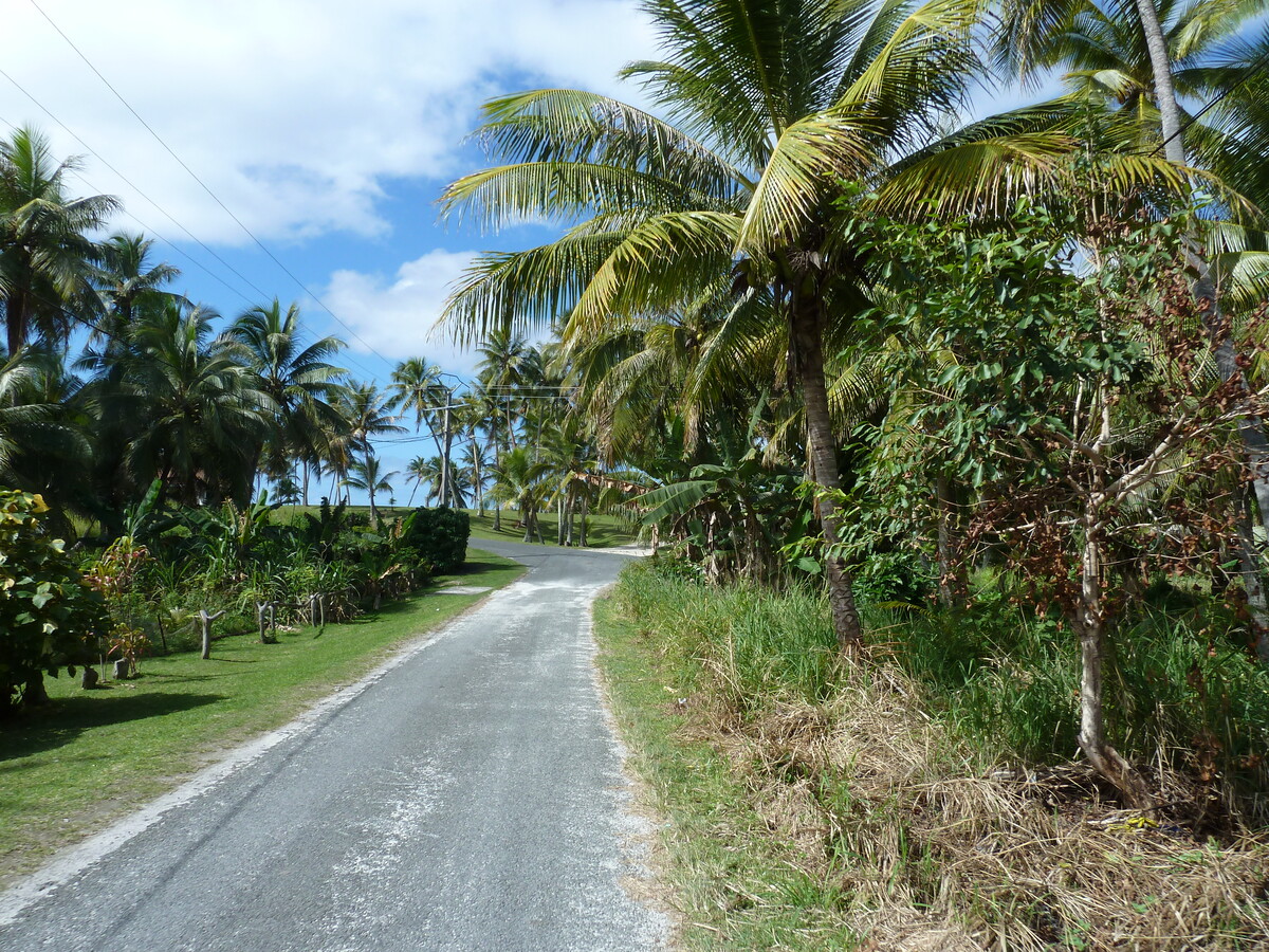 รูปถ่าย นิวแคลิโดเนีย(New Caledonia) เกาะลีฟู(Lifou) 2010-05 24