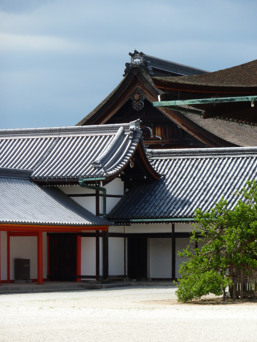รูปถ่าย ญี่ปุ่น(Japan) เกียวโต(Kyoto) พระราชวังหลวงเกียวโต(Kyoto Imperial Palace) 2010-06 152