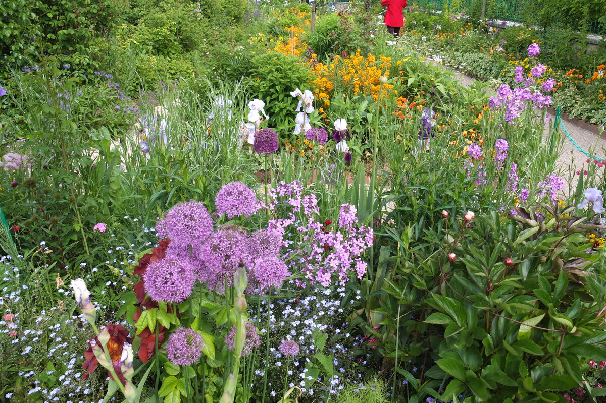 รูปถ่าย ฝรั่งเศส(France) ฌีแวร์นี(Giverny) 2013-06 111