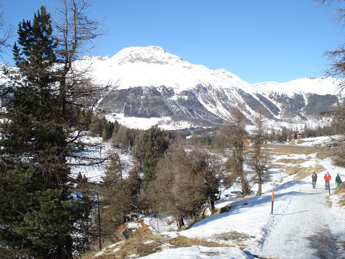 รูปถ่าย สวิสเซอร์แลนด์(Switzerland) ปองเทรซีน่า(Pontresina) 2007-01 16